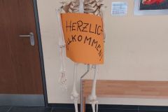 20260225_151700-scaled